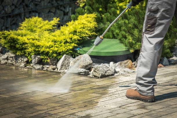 Best Driveway Pressure Washing  in Temesl Valley, CA