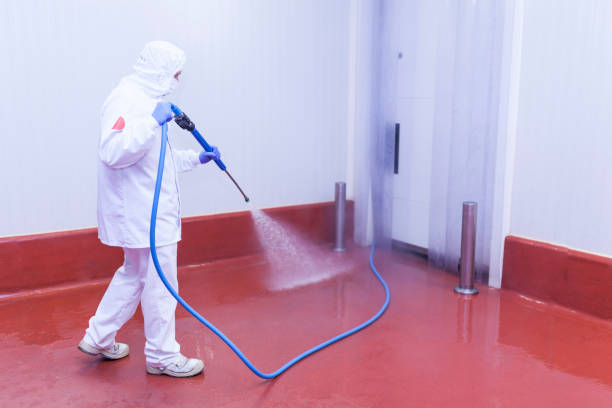 Animal Enclosure Cleaning in Temescal Valley, CA
